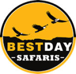 Bestday Safaris