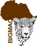 Bigmac Africa Safaris