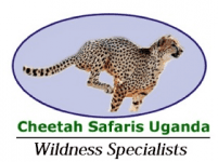 Cheetah Safaris Africa