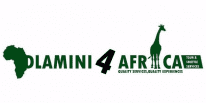 Dlamini4africa