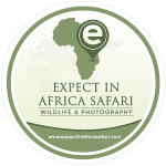 Expect In Africa Safari