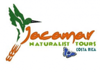 Jacamar Naturalist Tours
