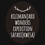 Kilimanjaro Wonders Expedition Safari