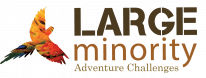 Large Minority Ltd
