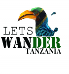 Let's wander Tanzania