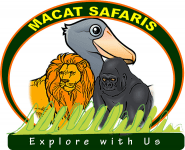 Macat Safaris