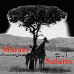Malazi Safaris