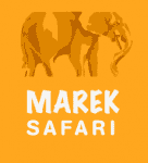 Marek safari and tours
