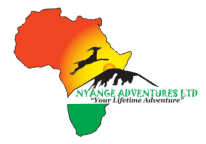 Nyange Adventures