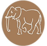 Outdoor African Tour Safari
