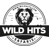 Wild Safari Hits