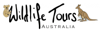 Wildlife Tours Australia