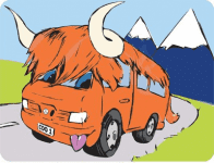 The Hairy Coo