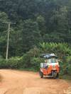 Photo d'avis client sur Aventure en tuk tuk et dans les tribus des collines - 3 jours 4