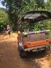 Photo d'avis client sur Aventure en tuk tuk et dans les tribus des collines - 3 jours 5