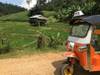 Photo d'avis client sur Aventure en tuk tuk et dans les tribus des collines - 3 jours 6