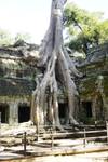 Photo d'avis client sur Les secrets d'Angkor au Cambodge - Confort 2