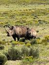 Photo d'avis client sur Le Cap, la Route des jardins et le Kruger - forfait de 11 jours 4