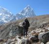 Photo d'avis client sur Petit trek au camp de base de l'Everest - 10 jours 1
