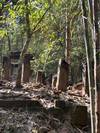 Angkor Cycling Adventure: Jungle Temples & River Trails customer review photo 4