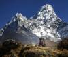 Photo d'avis client sur Trek du camp de base de l'Everest - Options privées disponibles 5