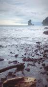 Photo d'avis client sur Les meilleures plages et Treks dans la jungle du Costa Rica - pour les 21- 35 ans 1