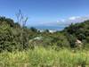 Photo d'avis client sur Les meilleures plages et Treks dans la jungle du Costa Rica - pour les 21- 35 ans 3