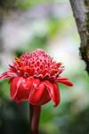 Photo d'avis client sur Les meilleures plages et Treks dans la jungle du Costa Rica - pour les 21- 35 ans 2