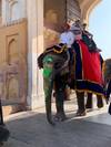The best Colours of Rajasthan, 10 day tour customer review photo 5