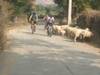 Rajasthan Cycling with Taj and Tiger customer review photo 1