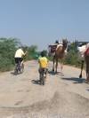 Rajasthan Short Cycling Tour customer review photo 4