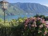 Grand Alps loop motorcycle tour (Guided) customer review photo 1