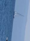 Med Sailing in Croatia (from Dubrovnik to Split) customer review photo 1