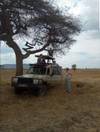 Photo d'avis client sur 4 jours de safari en camping en Tanzanie 3