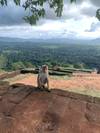 Photo d'avis client sur A travers les meilleurs sites du Sri Lanka 6