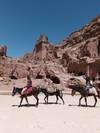 Photo d'avis client sur Circuit de deux jours en groupe - Petra, Wadi Rum et Mer Morte depuis Amman 6