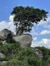 Photo d'avis client sur Safari privé de milieu de gamme en Tanzanie, 6 jours et 5 nuits 4