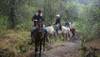 Photo d'avis client sur Circuit dans le Michoacan : Villes magiques, le plus jeune volcan et plus encore 4