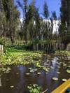 Photo d'avis client sur Circuit dans le Michoacan : Villes magiques, le plus jeune volcan et plus encore 6
