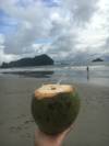 Photo d'avis client sur Les meilleures plages et Treks dans la jungle du Costa Rica - pour les 21- 35 ans 1