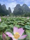 Photo d'avis client sur L'essence de Guilin 2