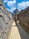 7 Day package 'Trek to Machu Picchu through the Inca Trail' customer review photo 1