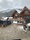 Photo d'avis client sur Circuit d'exploration hivernale de 4 jours dans les Rocheuses 2