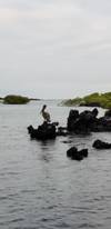 Photo d'avis client sur Découverte des Galápagos 2