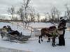 Christmas adventure to Northern Lapland, Saariselkä customer review photo 2