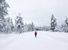 Christmas adventure to Northern Lapland, Saariselkä customer review photo 1