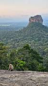 Photo d'avis client sur Sri Lanka Round tour with Wildlife - 12 Days Surclassement gratuit en circuit privé disponible 3