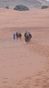 Photo d'avis client sur Circuit des desserts de Marrakech à Fès 4J/3N 1