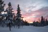 Christmas adventure to Northern Lapland, Saariselkä customer review photo 2