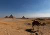 Private Egypt Luxury Tour Package 8 Days, 7 Nights customer review photo 1